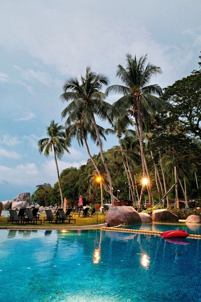 A large swimming pool surrounded by palm trees